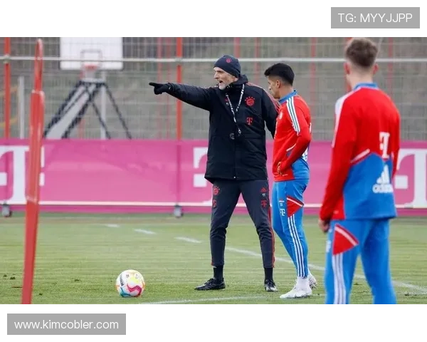 图赫尔训练方式