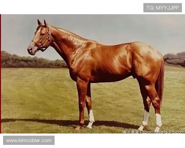 富里睡醒发现自家马场又多两匹纯血马，这月第几回了？